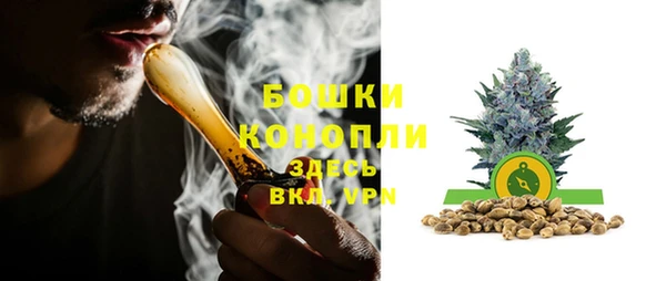Альфа ПВП Няндома