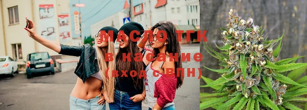 Альфа ПВП Няндома