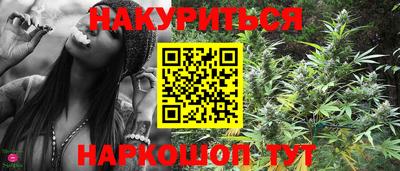 шишки Заводоуковск