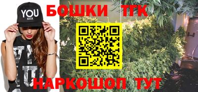 шишки Заводоуковск