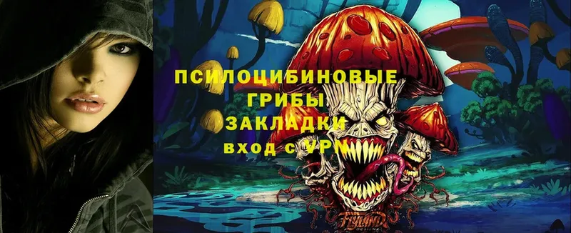 Псилоцибиновые грибы MAGIC MUSHROOMS  купить наркотики сайты  Мурино 