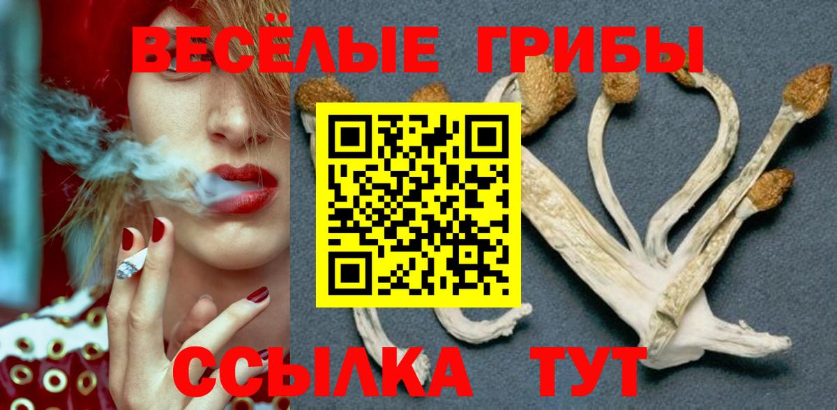 Мурино  Галлюциногенные грибы прущие грибы  Вход с VPN  Галлюциногенные грибы Psilocybe 